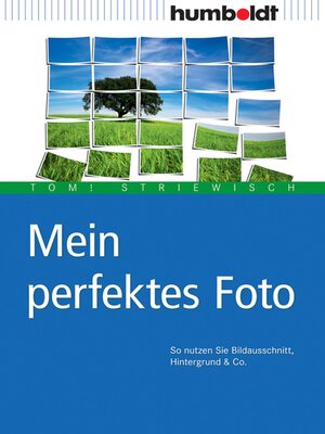 cover image of Mein perfektes Foto